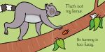 That's not my lemur… spread