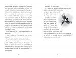 The Bewitching of Aveline Jones spread