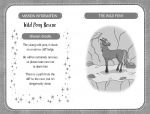 Dream Pony spread