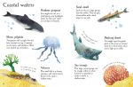 Seashore Life to Spot spread