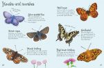 Butterflies to Spot spread