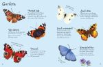 Butterflies to Spot spread