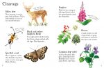 Woodland Life to Spot spread