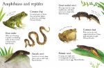 Pond Life to Spot spread