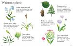 Pond Life to Spot spread