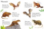 Pond Life to Spot spread
