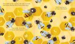 Peep Inside a Beehive spread