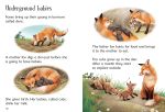 Underground Animals spread