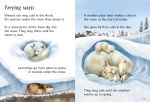 Underground Animals spread