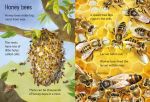 Creepy Crawlies spread