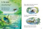 Creepy Crawlies spread