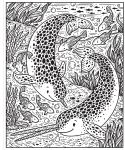 Narwhals and Other Sea Creatures Magic Painting Book spread