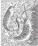 Narwhals and Other Sea Creatures Magic Painting Book spread