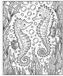 Narwhals and Other Sea Creatures Magic Painting Book spread