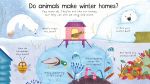 First Questions and Answers: Where Do Animals Go In Winter? spread