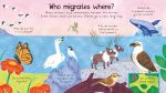 First Questions and Answers: Where Do Animals Go In Winter? spread