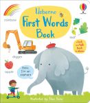 First Words Book book cover