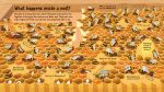 Look Inside the World of Bees spread