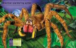 Build Your Own Deadly Animals spread