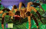 Build Your Own Deadly Animals spread