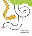 First Colouring Zoo Animals spread