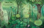 Lift-the-Flap Trees spread
