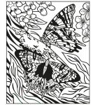 Butterflies Magic Painting Book spread