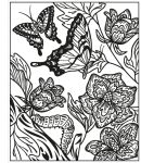 Butterflies Magic Painting Book spread