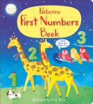 First Numbers Book book cover