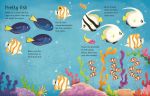 Wipe-Clean Aquarium Activities spread