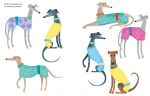 Chiens et chats page intérieure