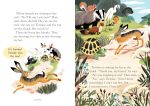 The Hare and the Tortoise spread