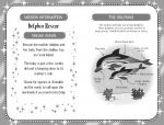 Dolphin Magic spread