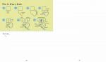 Step-by-step Drawing Zoo Animals spread