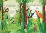 The Rainbow Coat spread