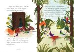 The Rainbow Coat spread