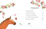 Histoires de chevaux et de poneys pour les petits page intérieure
