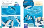 Lots of Things to Know About Animals spread
