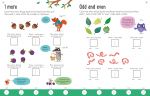 Usborne Workbooks Adding 5-6 spread