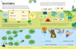 Usborne Workbooks Grammar and Punctuation 6-7 spread