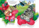 Pop-Up Butterflies spread
