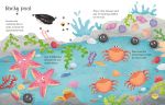Wipe-Clean Seashore Activities spread