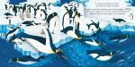 Les oiseaux page intérieure
