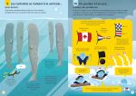 100 infos insolites sur les océans page intérieure