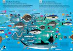 100 infos insolites sur les océans page intérieure