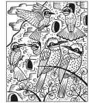 Birds Magic Painting Book spread