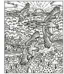 Birds Magic Painting Book spread