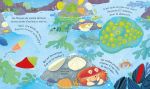 Le bord de mer page intérieure