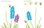 Fingerprint Activities Springtime spread