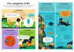 Ecology for Beginners spread